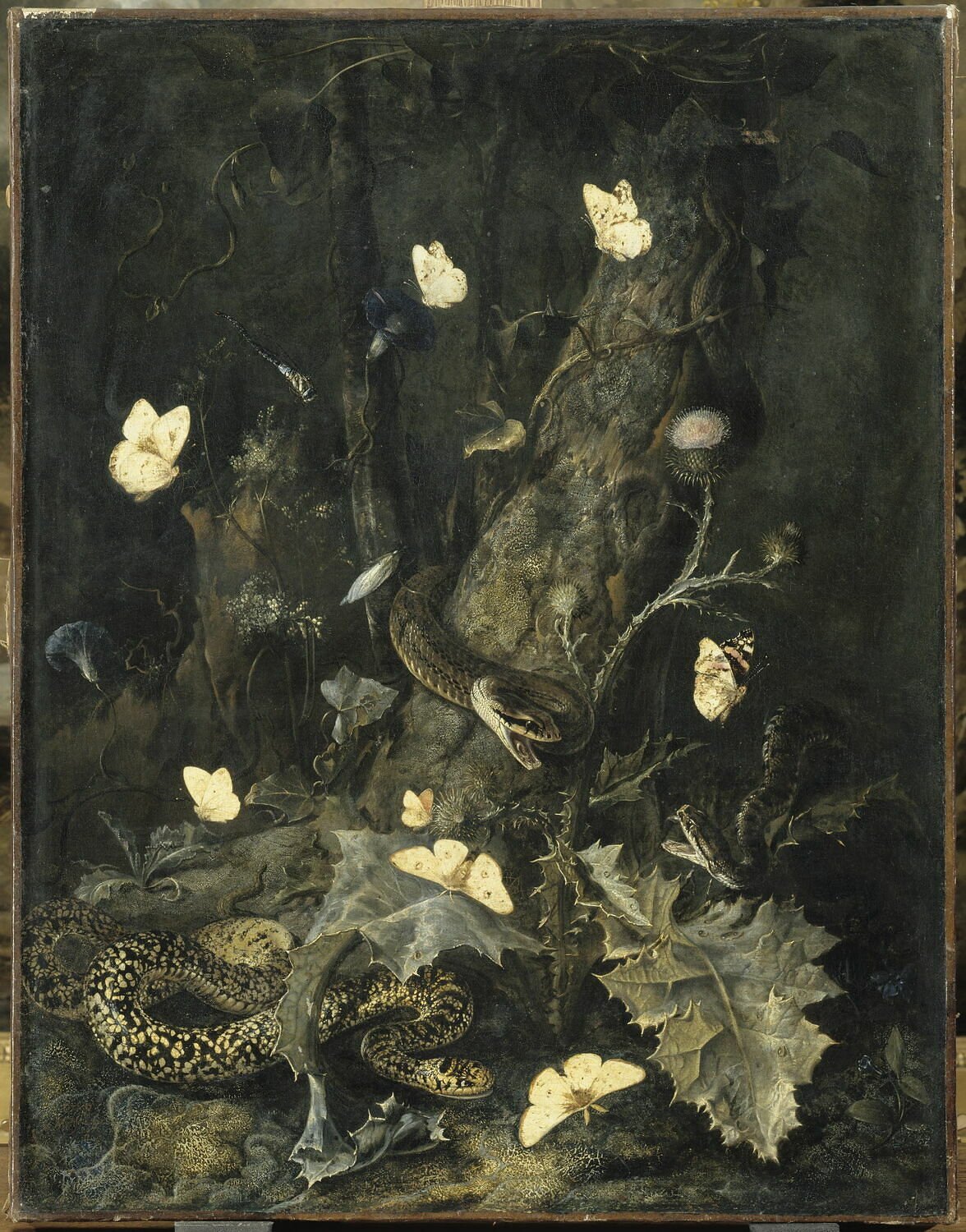 Snakes and Butterflies - Otto Marseus van Schrieck