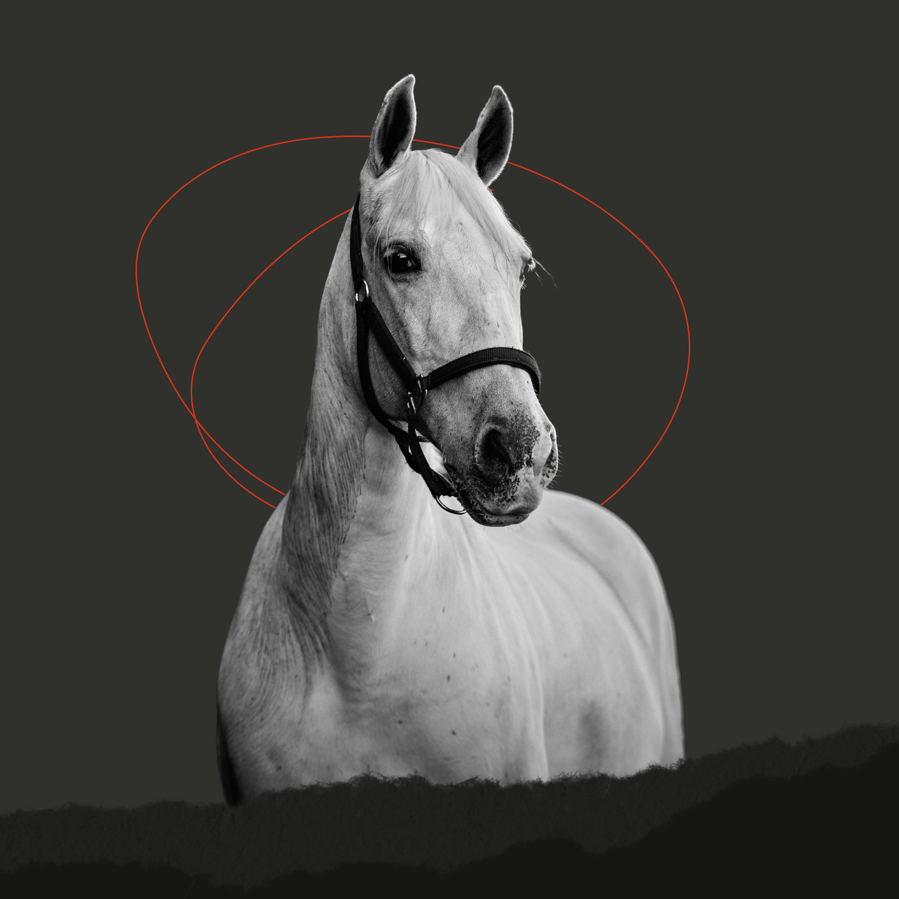 Build on Brand_Horse