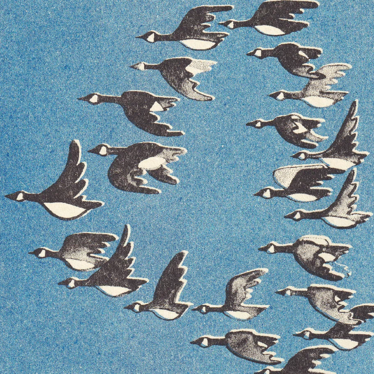 Create First_Courage-Thumbnail