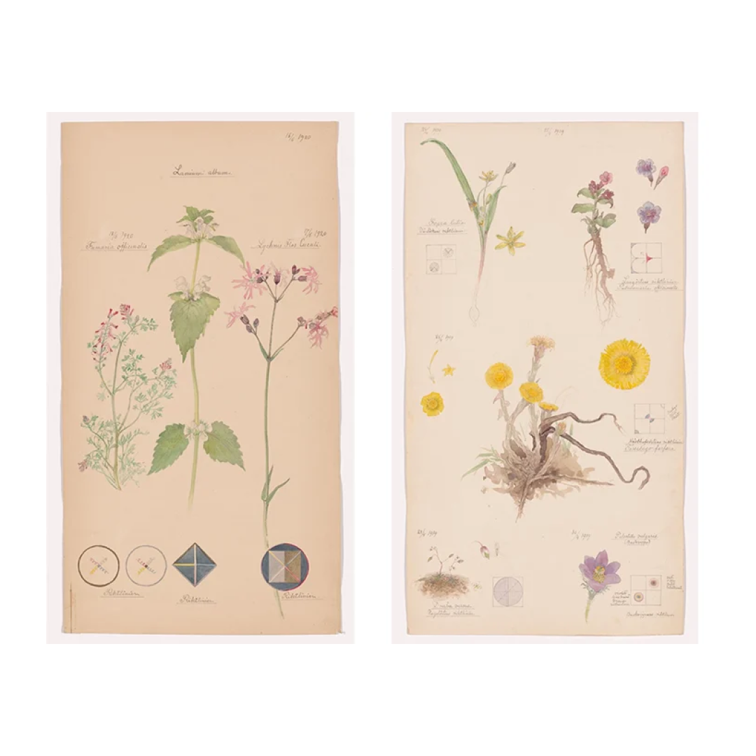 Create First_Slow Down